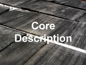 Core Description